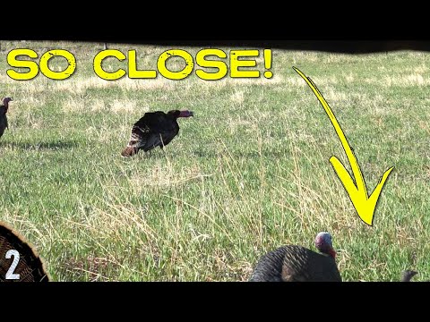The Turkeys WON! | 28 Gauge Turkey Hunting