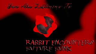 Cover art for Rabbit Encounters Future Funk