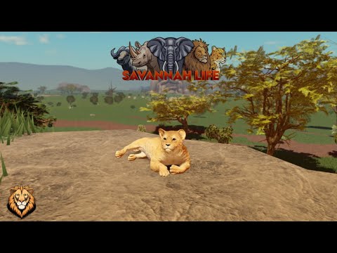 Survived as a Lion in Savannah Life ⏐ Roblox 🦁 PT2
