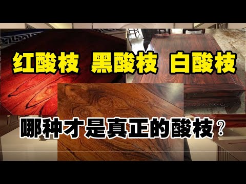 紅酸枝功效