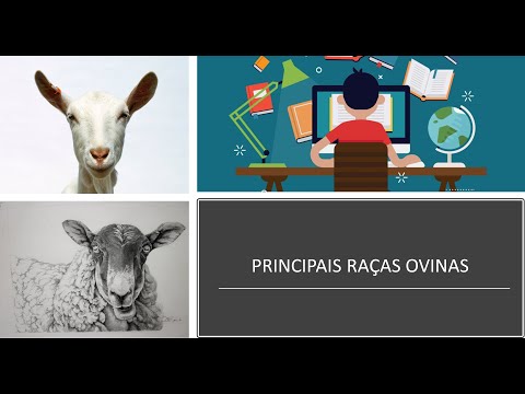 , title : 'Principais Raças Ovinas'