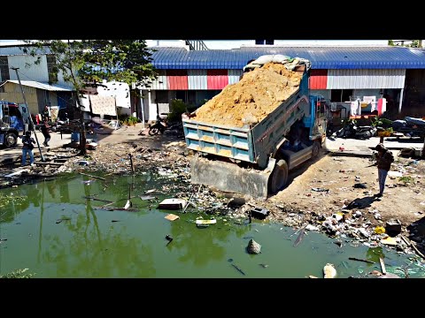 Starting A New Project!! Filling Land By Bulldozer Push soil Delete Garbage with 5ton trucks