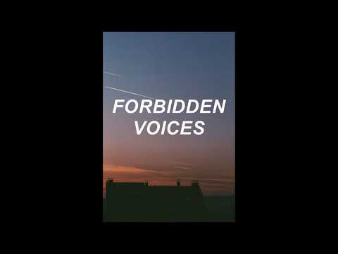 Martin Garrix ft  Tiesto x Don Diablo x Jake Liedo - Forbidden Voices x Chemicals (HJ Mashup)