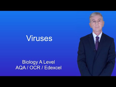 A Level Biology Revision "Viruses"