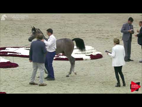 109 AZ AWZAN Sharjah International 2018