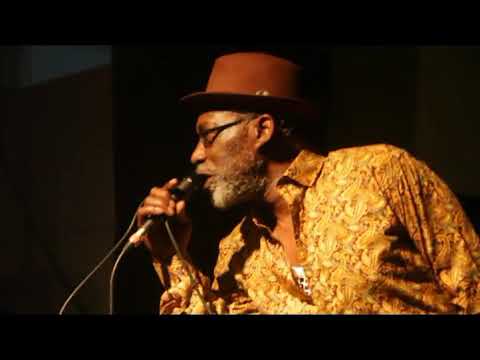 VIVIAN JONES & THE ROOTS DEFENDER BAND (LIVE 2017)