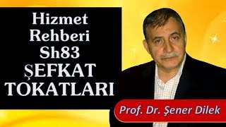 Prof. Dr. Şener Dilek - Hizmet Rehberi - Sh83 - Şefkat Tokatları
