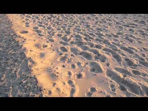 47/13R001 DK with Handheld CB Radio Dragon SS-201 WKD 26RS066 UK