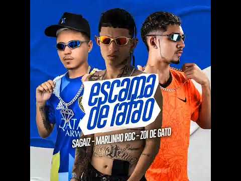 MARLINHO RDC, ZOI DE GATO E SAGAIZ = ESCAMA DE RATÃO
