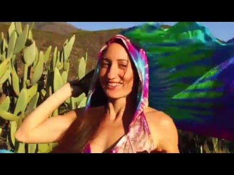 Flow Flags by Pogoda Visuals feat. "Nice n Slo" by Nico Luminous