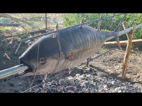 EP819-P1 - 45KG Tuna Lechon