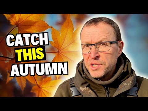 Carp Fishing: Getting It Right For AUTUMN Bites 🍂