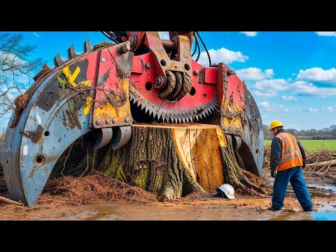 Extreme Dangerous Fastest Big Chainsaw Cutting Tree Machines | Monster Stump Removal Excavator #5