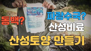 산성비료 파란수국 만들기 메이크블루 백색가루 동백나무비료