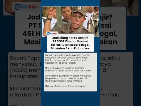 Bupati Masinton Ancam Pidanakan PT SGSR! Disebut Kuasai 451 Ha Hutan secara Ilegal, Pemicu Banjir?
