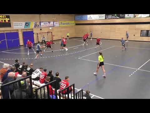 TSV Alfdorf/Lorch vs. HV RW Laupheim | Highlights