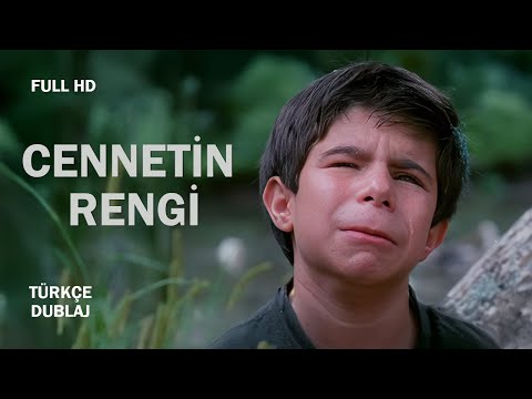 Cennetin Rengi (1999) – Görmeden Gören Bir Çocuğun Kalbe Dokunan Yolculuğu | Full HD | Türkçe Dublaj
