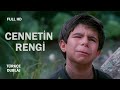 Cennetin Rengi 1999 Görmeden Gören Bir Çocuğun Kalbe Dokunan Yolculuğu Full HD Türkçe Dublaj