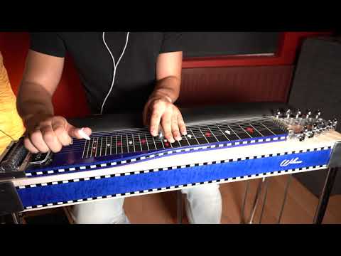 Wilcox SD-10 Pedal Steel Guitar image 11