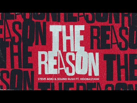 Steve Aoki and 2 more