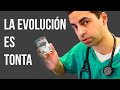 El Nervio Más Estúpido Del Cuerpo Humano