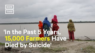 Reforestation's Key to Combat Effects of Climate Crisis