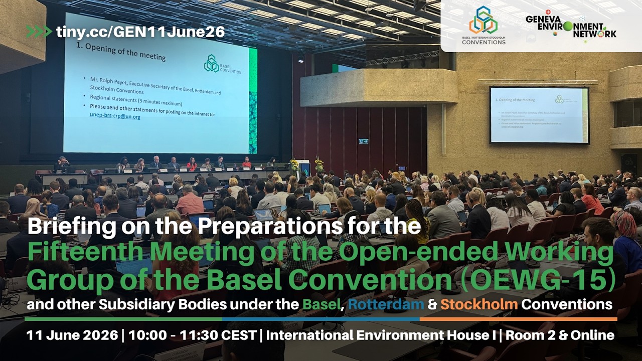 Briefing on the Preparations for OEWG-15 and other Subsidiary Bodies under the BRS Conventions