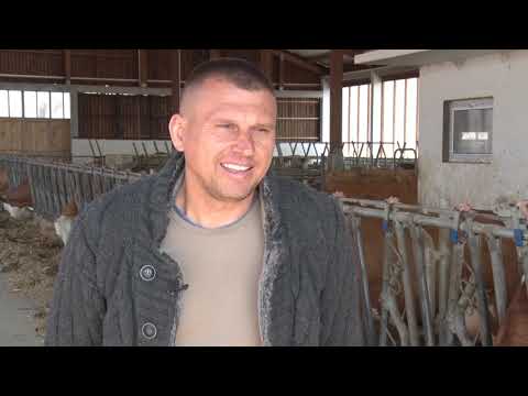 Moderna farma krava - Vojska