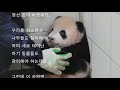 '삐지지나 마시라~~나' 글에 포함된 동영상