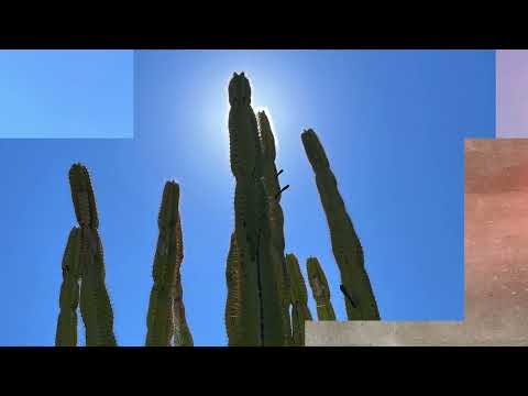 Steve Mill | God Given Feat. Bongani Mehlomakhulu | Dirt Crew Recordings