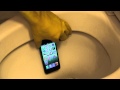 Apple IPhone 5 Toilet Flush Test