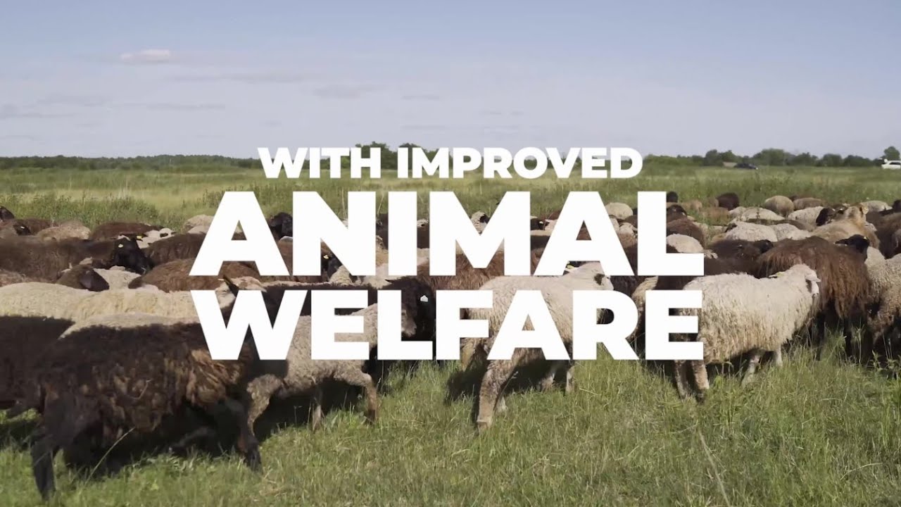 One Planet: Animal welfare is our welfare