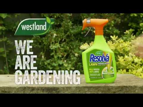 resolva lawn weedkiller Video