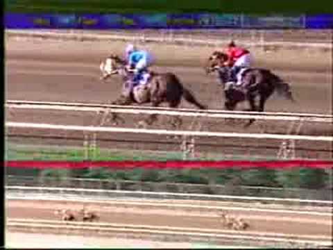 Copa de Oro de Venezuela 2003