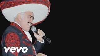 Vicente Fernández - Indomable (Cover Audio)