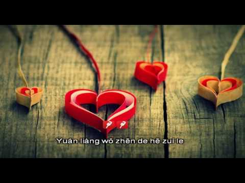 KARAOKE pinyin CHỈ VÌ QUÁ YÊU ANH | 只是太爱你 - Đinh Phù Ny