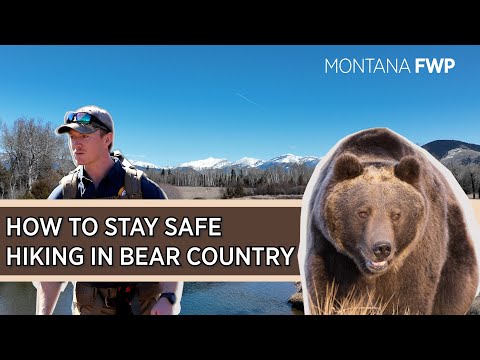 How to stay safe hiking in bear country