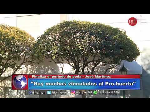 En agosto finaliza el mes de la poda