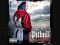Flo Rida ft. Pitbull - Low Move Shake Drop [DJ Lin ...
