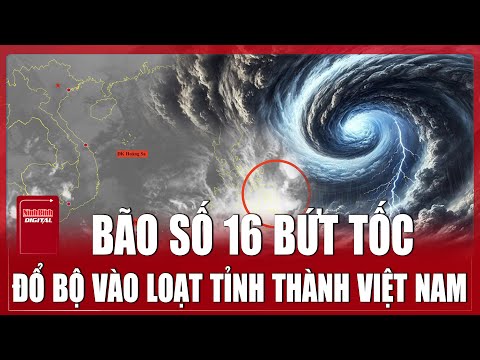 TRƯA 05/12: Bão số 16 nguy cơ đa tầng, cảnh báo thời tiết cực kỳ nguy hiểm | Ninh Bình Digital