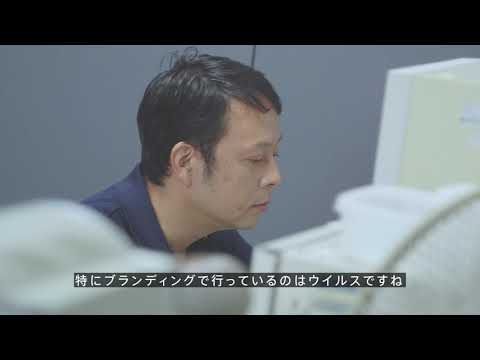 Chemical geneticsによるウイルス感染症の病態原因遺伝子の同定
