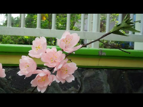 ABC TV | How To Make Cherry Blossom with crepe paper - Craft Tutorial