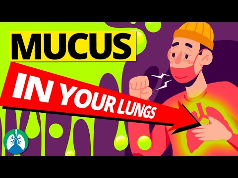 7 Causes of Increased Mucus in Your Lungs (Clearing Congestion)