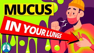 7 Causes of Increased Mucus in Your Lungs (Clearing Congestion)