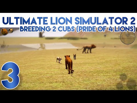 Ultimate Lion Simulator 2 Breeding Two Cubs to get a Pride of 4 Lions - YouTube