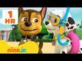 PAW Patrol Beach Rescue Missions W Chase Marshall 60 Minutes Nick Jr