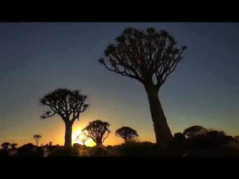 Fundo Templo de Salomão oficial