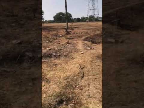 Bán 1000m2 đất trung tâm TP Thuận An gần AEON Mall