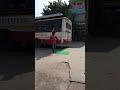 Street Circus