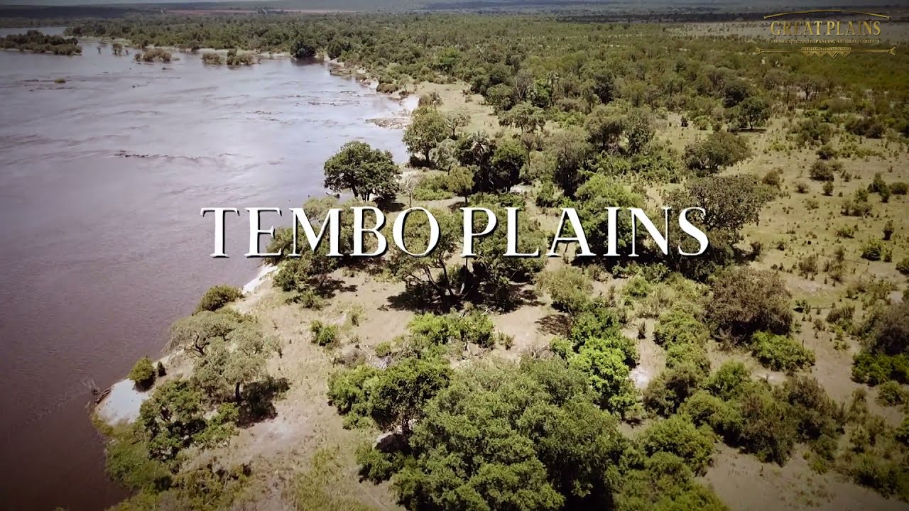 Tembo Plains Camp